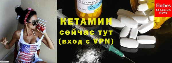 гидра Гусев
