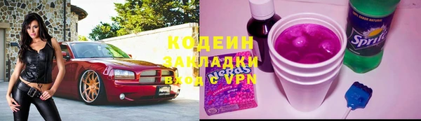 гидра Гусев