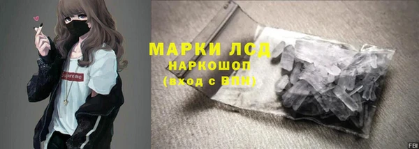 гидра Гусев