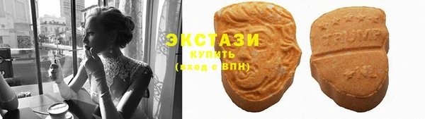 гидра Гусев
