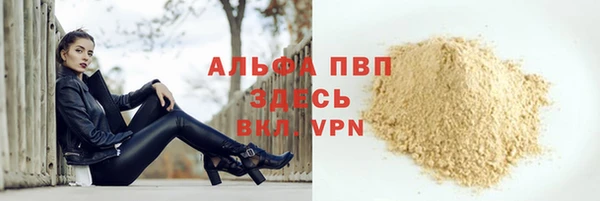 гидра Гусев