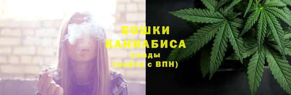 гидра Гусев
