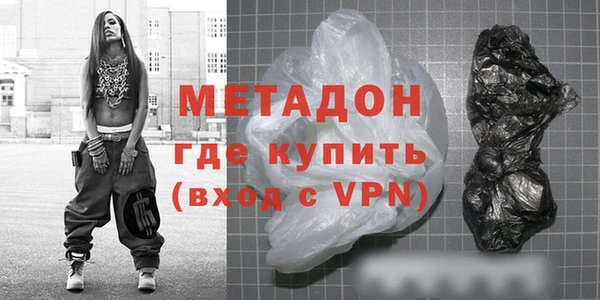 прущие грибы Горно-Алтайск