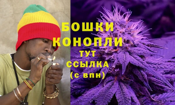 гидра Гусев