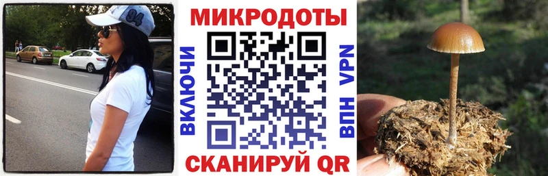 Галлюциногенные грибы GOLDEN TEACHER  Купить  Микунь 